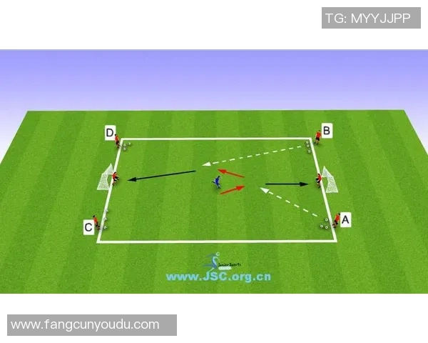 如何全面评价一名足球运动员的球技与影响力